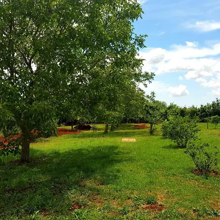 Holiday With Private Pool Surrounded With Nature Ferienhaus Barban